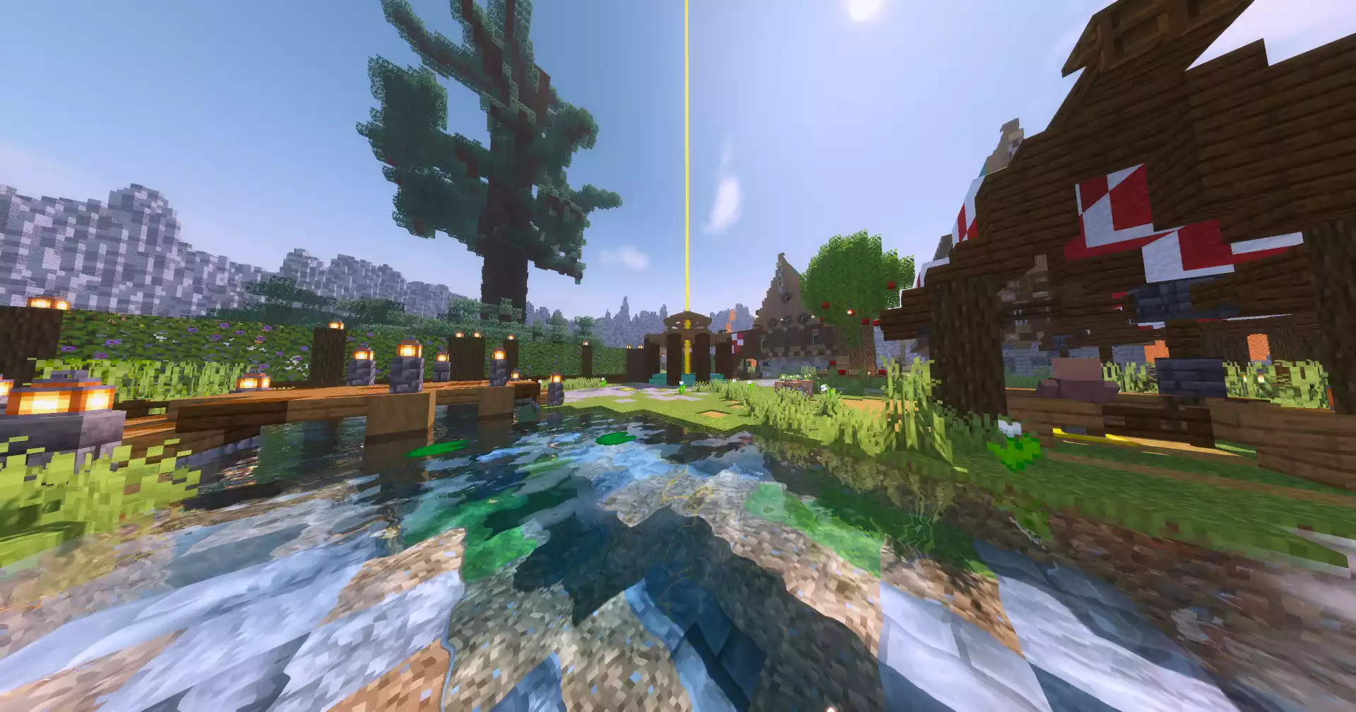 Screenshot of the server